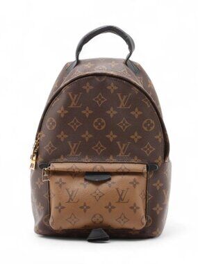 Louis Vuitton Monogram Reverse Palm Springs Backpack PM